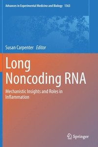 bokomslag Long Noncoding RNA