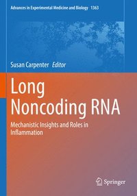bokomslag Long Noncoding RNA