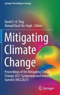 bokomslag Mitigating Climate Change