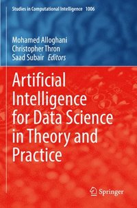 bokomslag Artificial Intelligence for Data Science in Theory and Practice