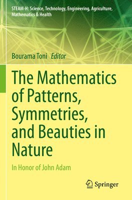 Bourama Toni - Mathematics of Patterns, Symmetries, and Beauties in Nature, Häftad