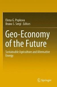 bokomslag Geo-Economy of the Future