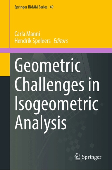 Carla Manni, Hendrik Speleers - Geometric Challenges in Isogeometric Analysis, Inbunden