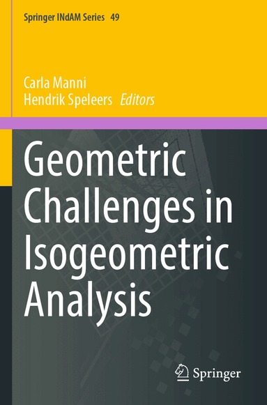 Carla Manni, Hendrik Speleers - Geometric Challenges in Isogeometric Analysis, Häftad