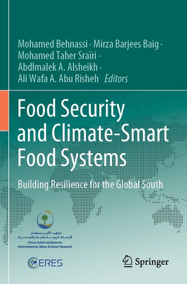 Mohamed Behnassi, Mirza Barjees Baig, Mohamed Taher Sraïri, Abdlmalek A. Alsheikh, Ali Wafa A. Abu Risheh - Food Security and Climate-Smart Food Systems, Häftad