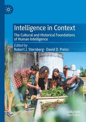 Robert J. Sternberg, David D. Preiss - Intelligence in Context, Häftad