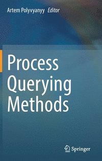 bokomslag Process Querying Methods