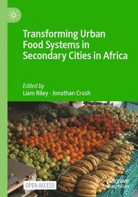 bokomslag Transforming Urban Food Systems in Secondary Cities in Africa