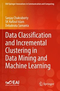 bokomslag Data Classification and Incremental Clustering in Data Mining and Machine Learning