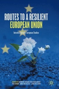 bokomslag Routes to a Resilient European Union