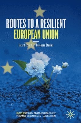 bokomslag Routes to a Resilient European Union