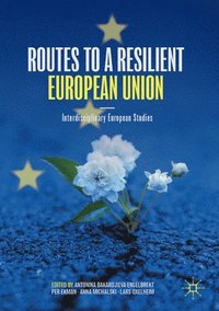 bokomslag Routes to a Resilient European Union