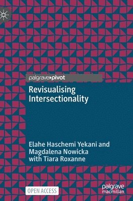 bokomslag Revisualising Intersectionality