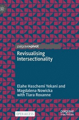 Revisualising Intersectionality 1