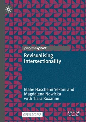 bokomslag Revisualising Intersectionality