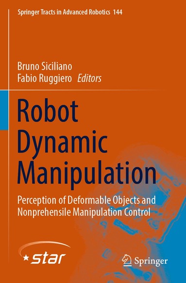 Bruno Siciliano, Fabio Ruggiero - Robot Dynamic Manipulation, Häftad