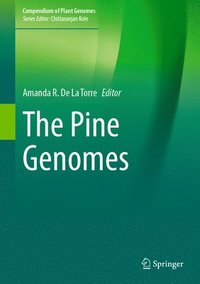 bokomslag Pine Genomes