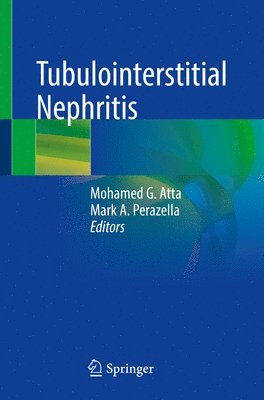 Mohamed G. Atta, Mark A. Perazella - Tubulointerstitial Nephritis, Häftad