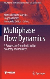 bokomslag Multiphase Flow Dynamics