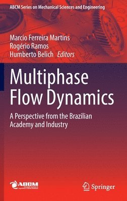 Multiphase Flow Dynamics 1