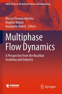 bokomslag Multiphase Flow Dynamics