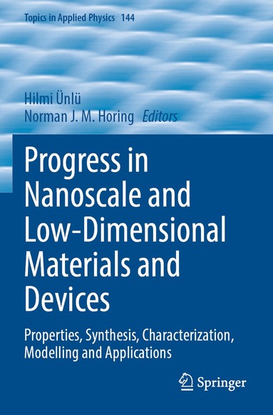 Hilmi Ünlü, Norman J. M. Horing - Progress in Nanoscale and Low-Dimensional Materials and Devices, Häftad