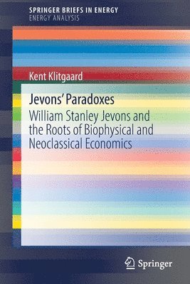 Jevons' Paradoxes 1