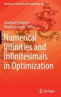 bokomslag Numerical  Infinities and Infinitesimals in Optimization