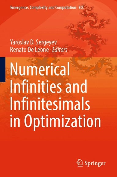 Yaroslav D. Sergeyev, Renato De Leone - Numerical Infinities and Infinitesimals in Optimization, Häftad