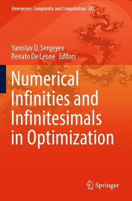 bokomslag Numerical  Infinities and Infinitesimals in Optimization
