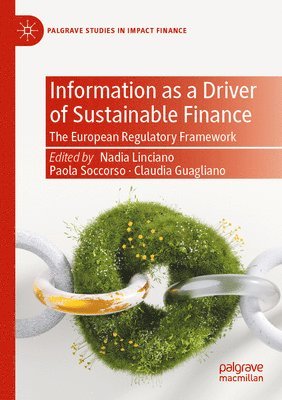 bokomslag Information as a Driver of Sustainable Finance