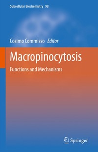 bokomslag Macropinocytosis