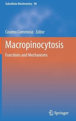 Macropinocytosis 1