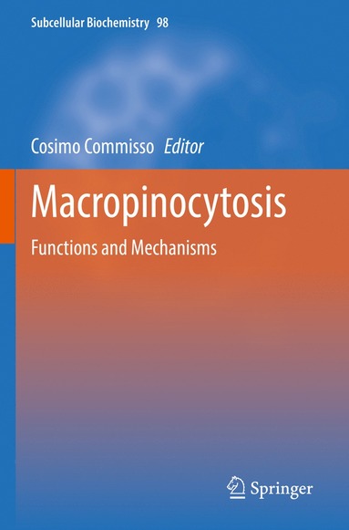 bokomslag Macropinocytosis