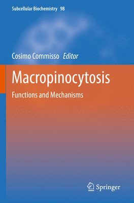 Macropinocytosis 1