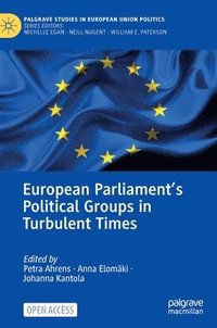 bokomslag European Parliaments Political Groups in Turbulent Times