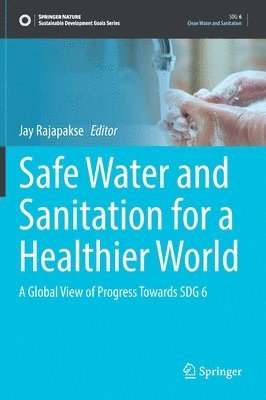 bokomslag Safe Water and Sanitation for a Healthier World