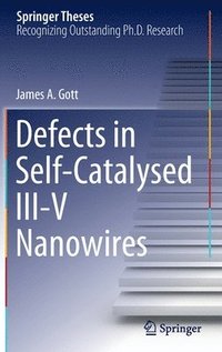 bokomslag Defects in Self-Catalysed III-V Nanowires