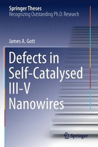 bokomslag Defects in Self-Catalysed III-V Nanowires