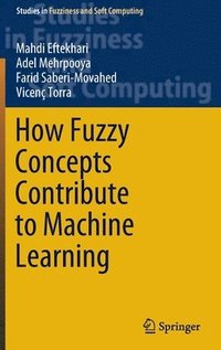 bokomslag How Fuzzy Concepts Contribute to Machine Learning