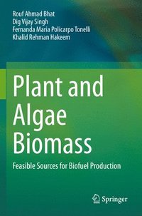 bokomslag Plant and Algae Biomass