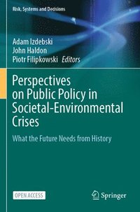 bokomslag Perspectives on Public Policy in Societal-Environmental Crises