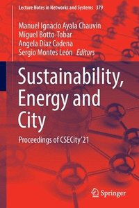bokomslag Sustainability, Energy and City