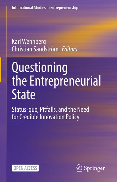 bokomslag Questioning the Entrepreneurial State