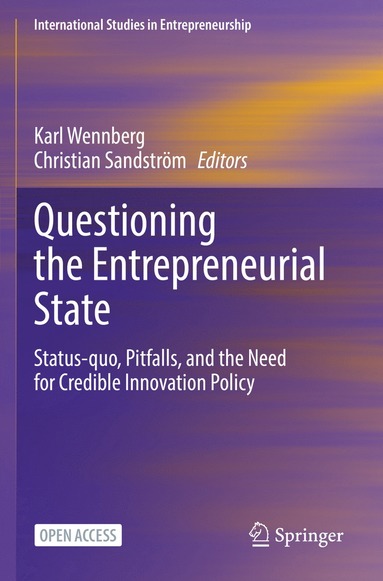 bokomslag Questioning the Entrepreneurial State