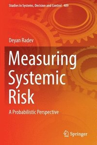 bokomslag Measuring Systemic Risk
