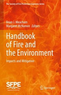 bokomslag Handbook of Fire and the Environment