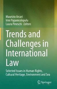 bokomslag Trends and Challenges in International Law