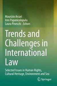 bokomslag Trends and Challenges in International Law