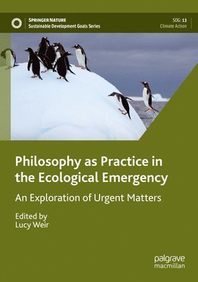 bokomslag Philosophy as Practice in the Ecological Emergency